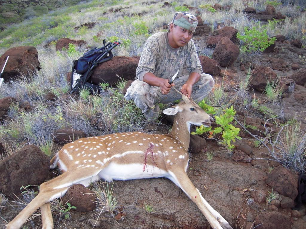 Celco Axis Deer Hunting June 2009 Lanai HI Photo by 2good2